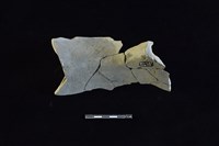 陶罐藏品圖，第2張